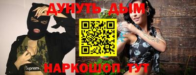 сатива Ставрополь
