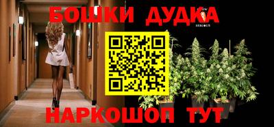 сатива Ставрополь