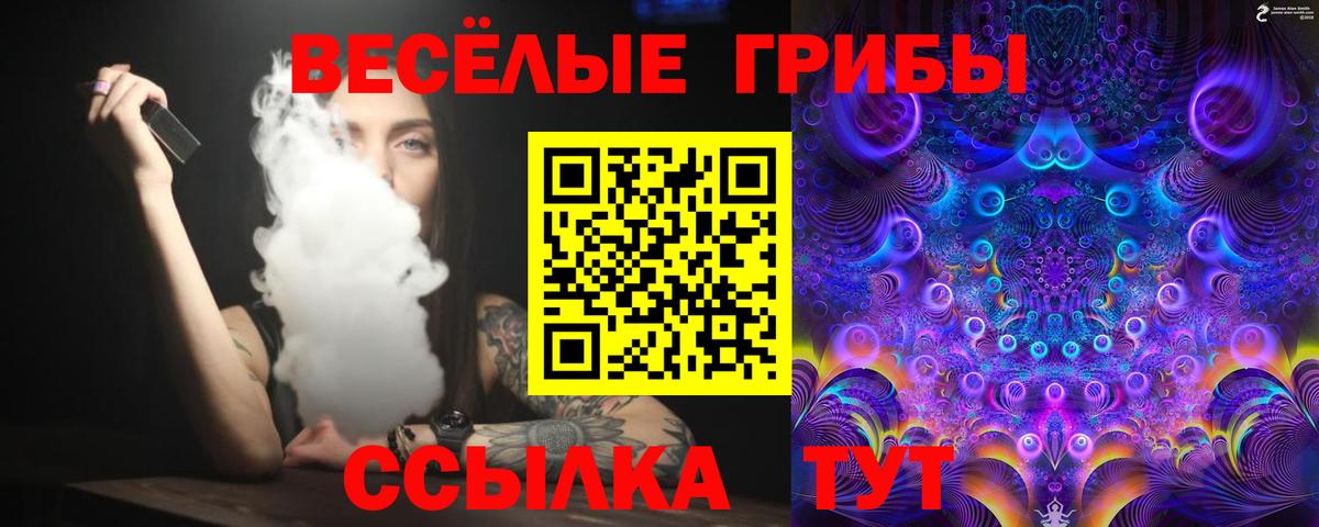 Галлюциногенные грибы Psilocybine cubensis  Вход с VPN  Нурлат 